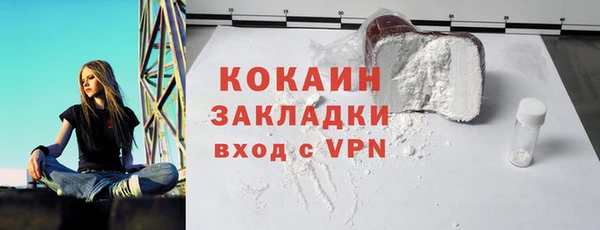 индика Алзамай