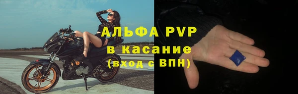 крисы Абаза