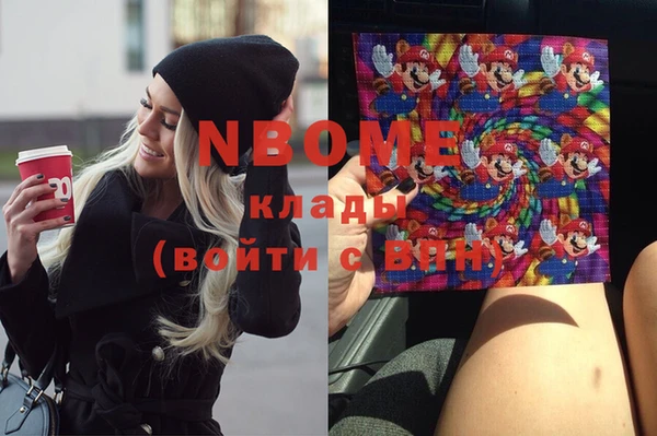 индика Алзамай