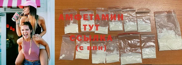 крисы Абаза
