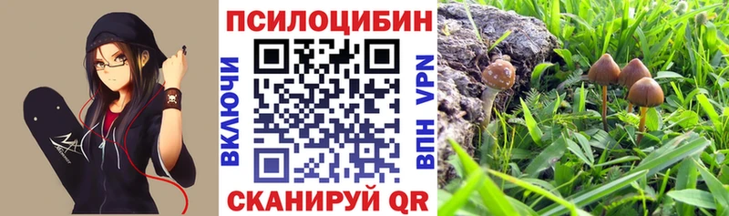 omg зеркало  Мыски  Псилоцибиновые грибы Magic Shrooms 