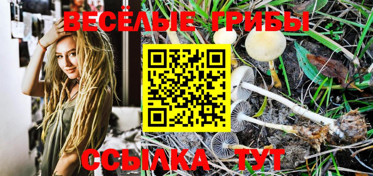 Галлюциногенные грибы Psilocybe  купить наркотик  Псилоцибиновые грибы ЛСД  Мыски  Вход с VPN 